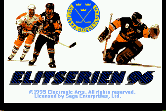 曲棍球赛季96(SW)